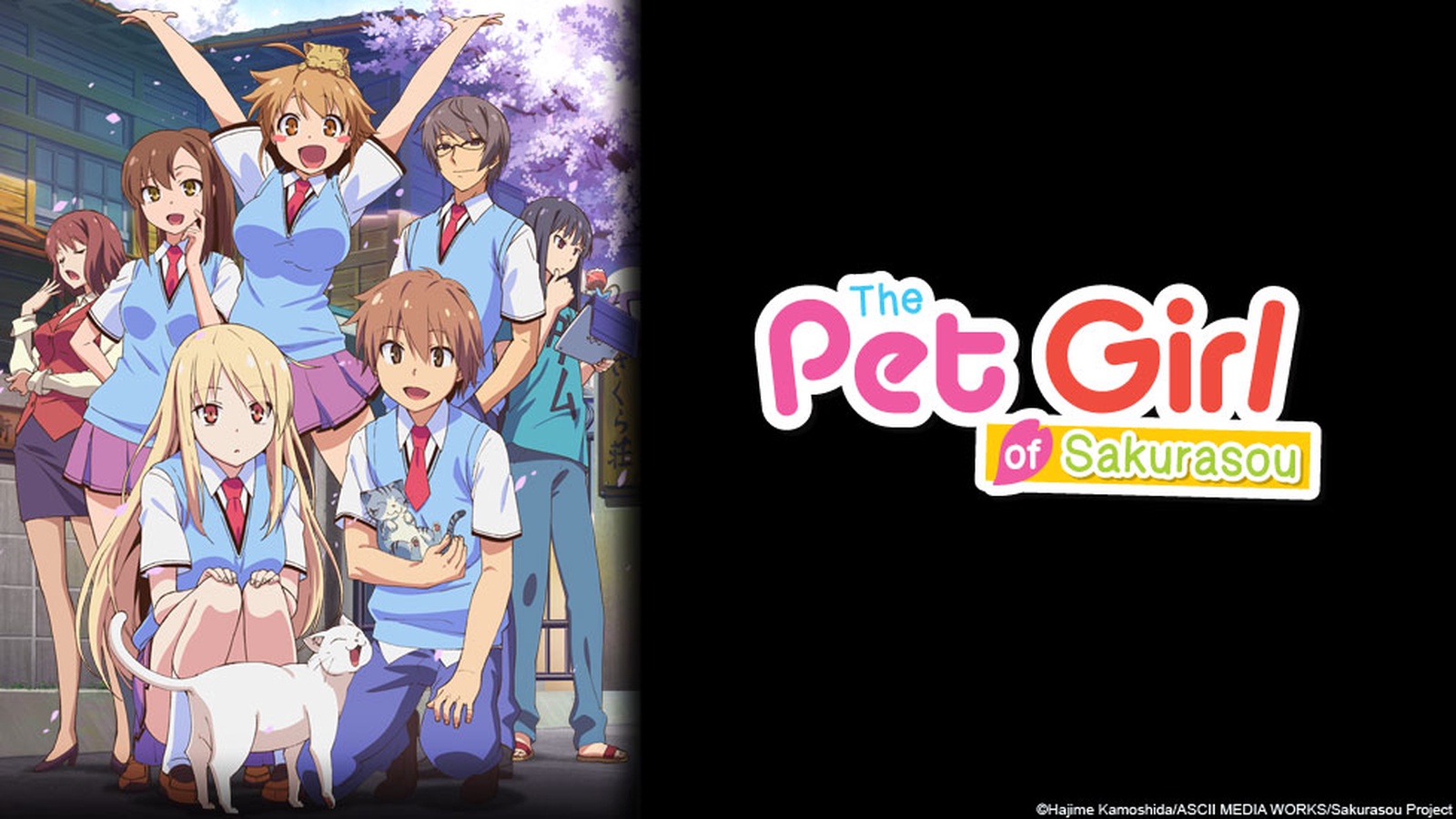 The Pet Girl Of Sakurasou Hentai