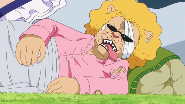 One Piece Season 11 Episode 816 Watch On Vrv